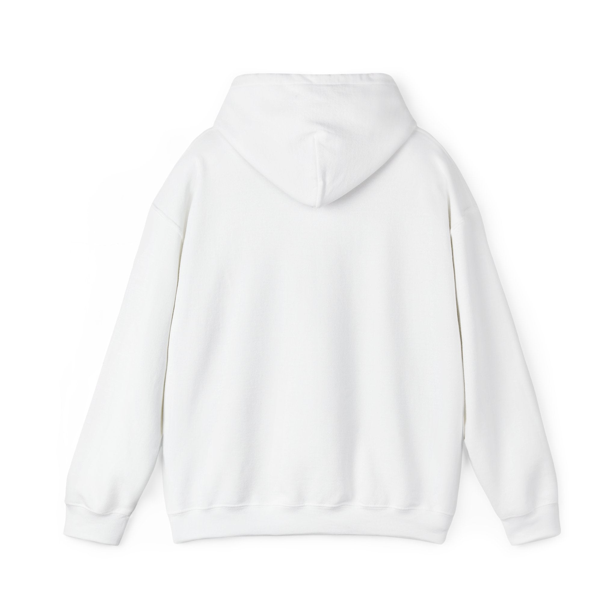 Belmont Cragin Neighborhood Hoodie — Vintage Chicago Community Design